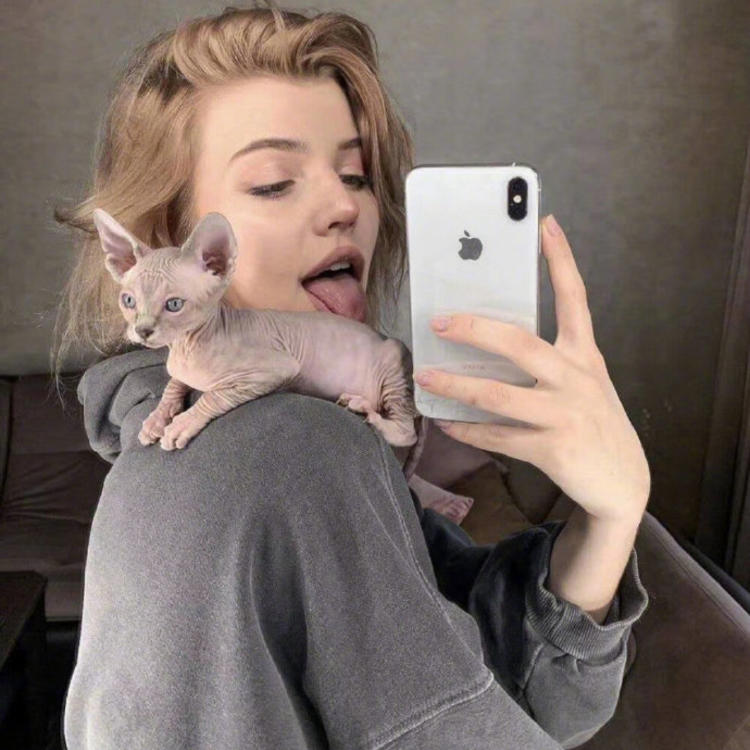 6686体育app铁牌作者Paul