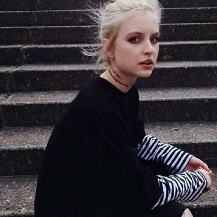 6686体育app银牌作者Maximus