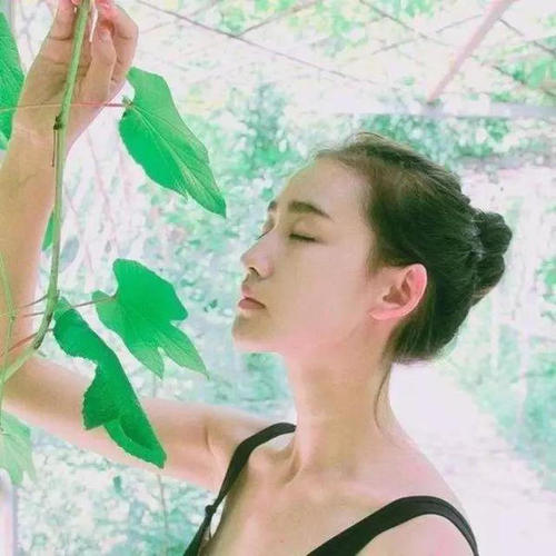 6686体育app铁牌作者John