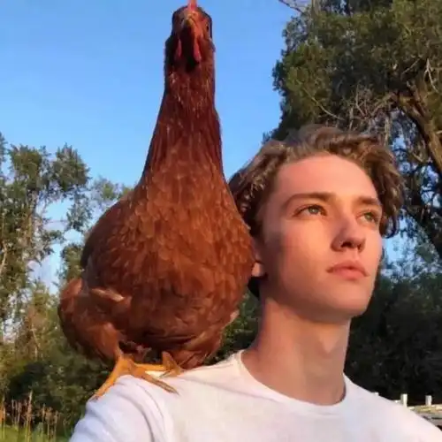 6686体育app海外作者Yuri