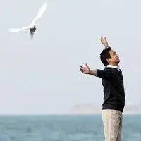 6686体育app合作伙伴Kai